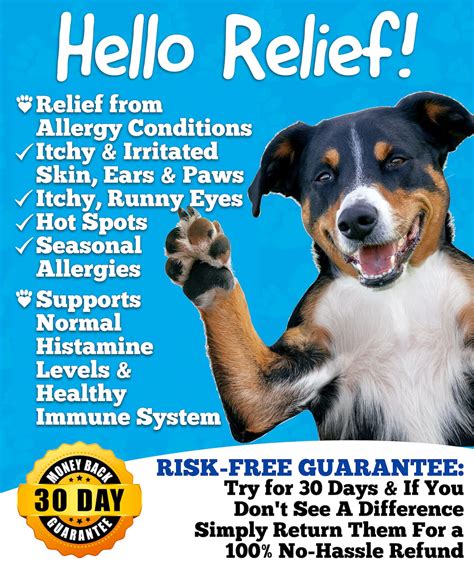 Buy Well Loved Dog Allergy Chews Dog Allergy Relief Made In Usa Vet