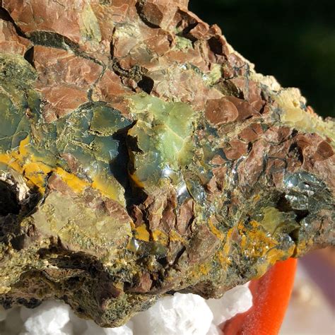 2 Pieces Of Oregon Opal In Rhyolite Jasper Display Specimens