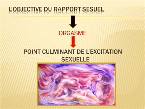 Physiologie Du Rapport Sexuel 2 Fichier Pdf
