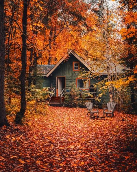 Autumn Cozy Photo