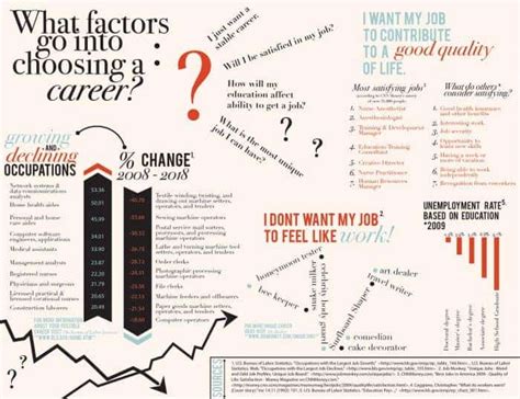 Choosing A Career Daily Infographic