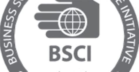 Bsci Logo Eps Focus Nordic Ab