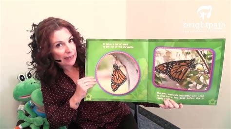 Story Time For Kids Monarchs Learn All About Butterflies Youtube