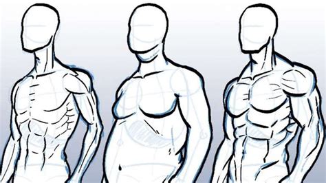 drawings of bodys and how to draw different body types 15 drawings of bodys in 2020 with images