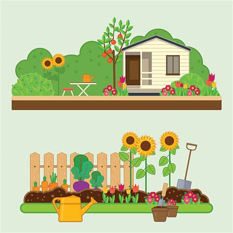 Vegetable Garden Clip Art Vector Images And Illustrations Istock