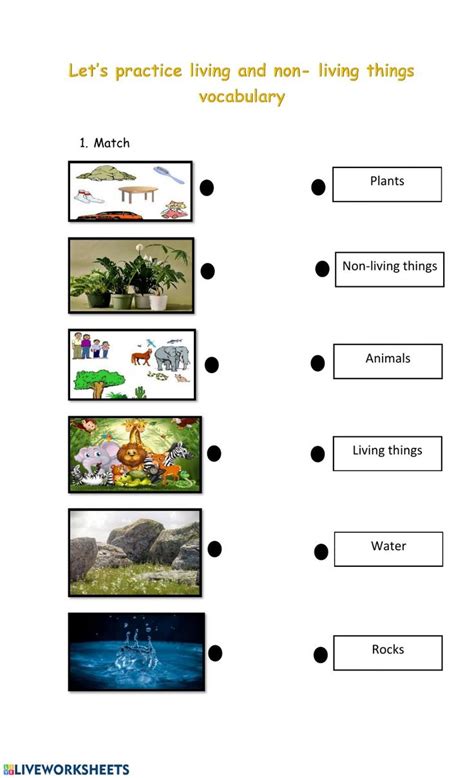 Living Things And Non Living Things Worksheet