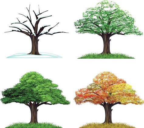 Four Season Tree Digital Art By Sceka Fine Art America