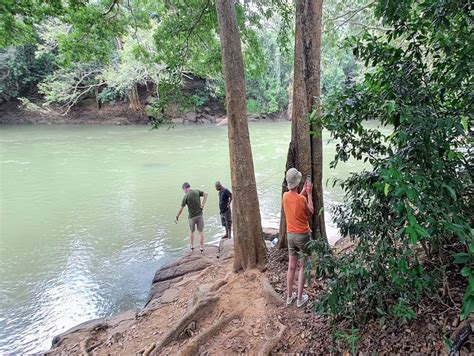 Sri Lanka Daagse Rondreis Het Beste Van Sri Lanka Getyourguide