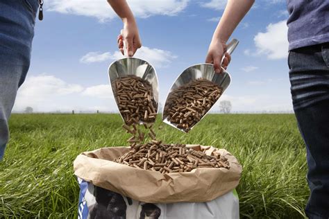 Animal Feeds Product Sample Martins Seed Feed And Supplies Llc