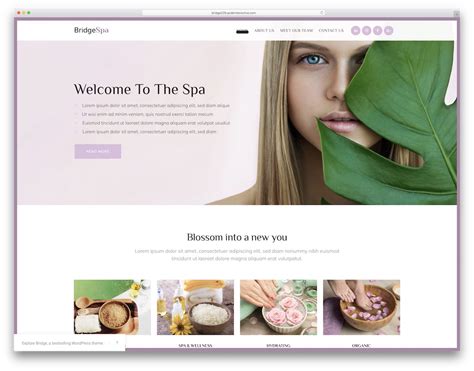 35 Best Spa And Beauty Salon Wordpress Themes 2024 Colorlib