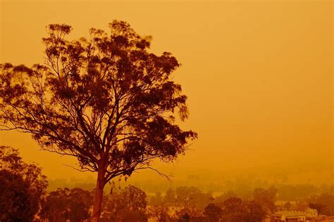 Bushfires In Australia Wikipedia