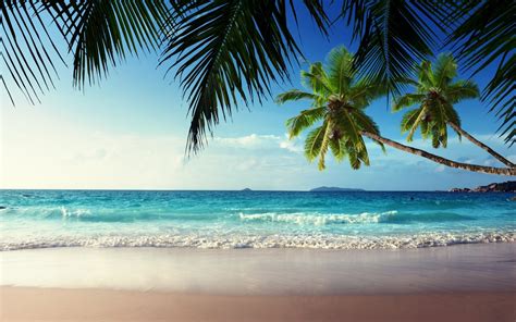 Wallpaper Sunlight Sea Bay Shore Sand Beach Coast Palm Trees Horizon Caribbean