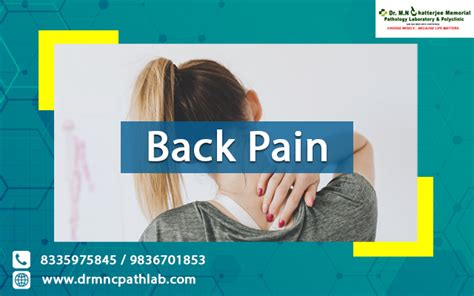 Back Pain Causes Diagnosis And Treatment Dr Mnc Pathlab