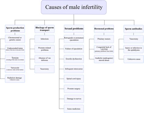 Various Causes Of Male Infertility Download Scientific Diagram