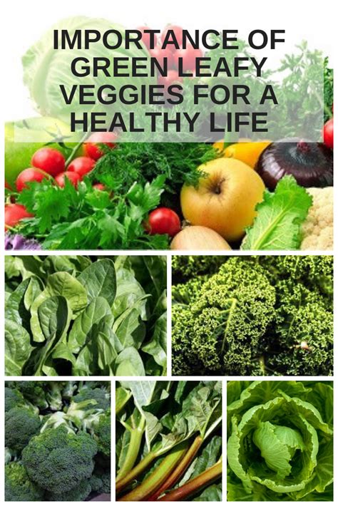Green Leafy Veggies And Their Health Benefits Healthy Life Green