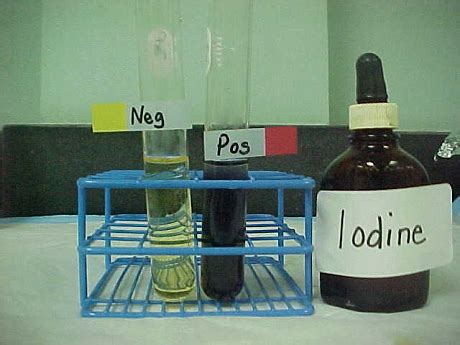 Test for starch • iodine turns from orange to blue/black in the presence of starch. Food test 1 - Starch test - Biology Notes for IGCSE 2014