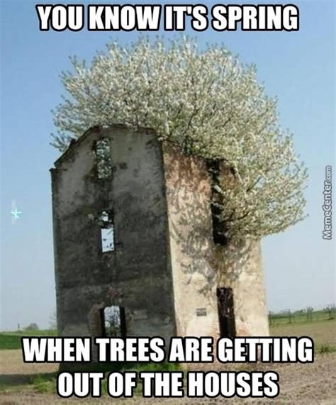 28 Most Funny Tree Meme Photos And Images Of All The Time
