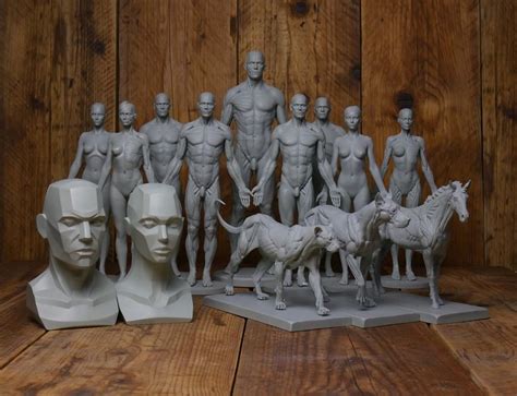 Anatomy Figures For Character Designers