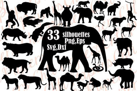 Wild Animals Outline Coloring Svg Dxf Clipart Safari