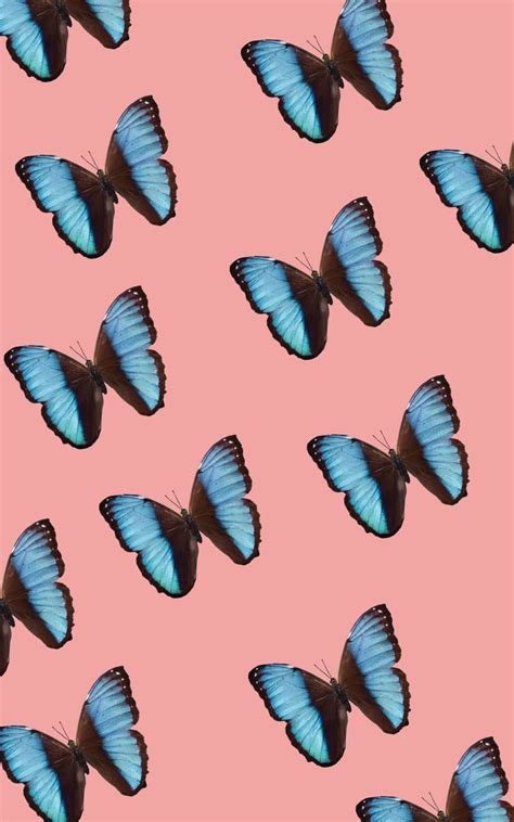 Background Wallpaper Iphone Pastel Blue Butterfly Aesthetic Jurrystieber