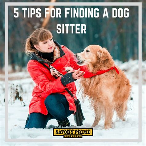 5 Tips For Finding A Dog Sitter Savory Prime Pet Treats