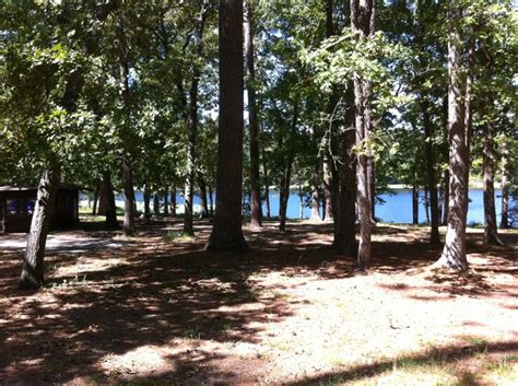 You can to visit ted sperling nature park, explore mangrove tunnels, watch manatees or dolphins in their natural environment, or just paddle around along the beaches and enjoy yourself. Huntsville RV Parks | Reviews and Photos @ RVParking.com