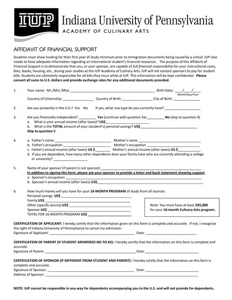 Affidavit Of Financial Support 12 Examples Format Pdf Examples