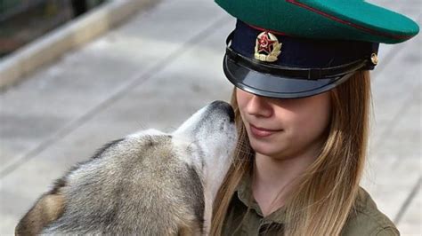 Soviet Dog Breeds Russian Army Dogs