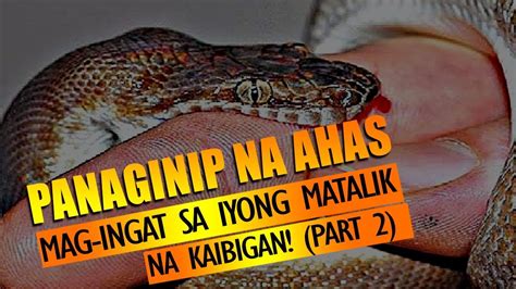 Kahulugan Ng Panaginip Na Ahas Snake Part 4 Ano Ang Ibig Mobile Legends