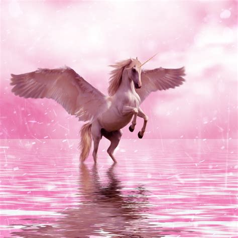 Free Images Horse Unicorn Design Fantasy Magical Fairy Tales