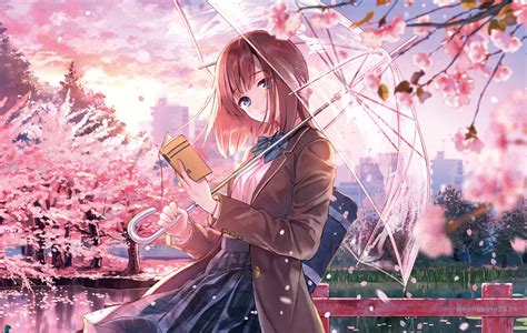 Anime Girl Cherry Blossom Season 5k Hd Anime 4k