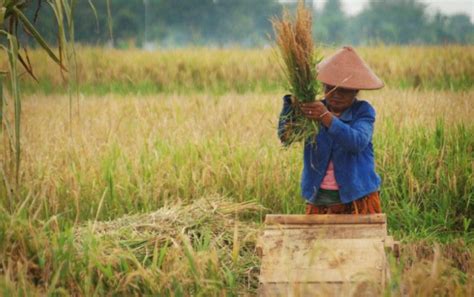 Tolak RUU Pertanahan Ribuan Petani Siap Gelar Aksi Di Istana DPR Esok