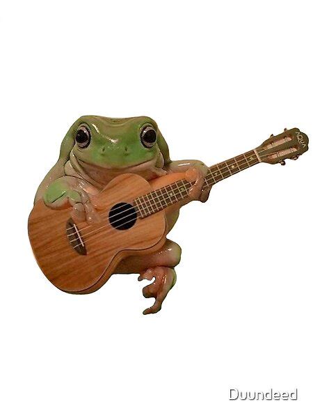 This Frog Plays On Guitar Frog Cute Frogs Frog Sitting