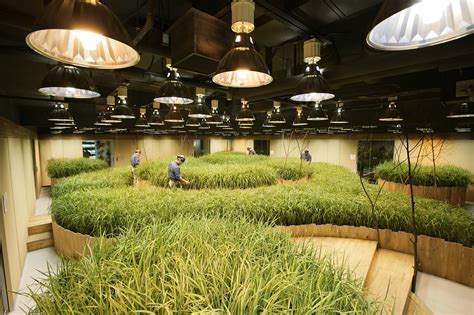 Indoor Farms And Agritech In Japan Daniel Jacobson