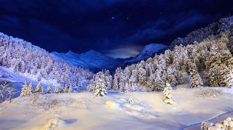 Night Winter Christmas Trees Mountains Wallpaper