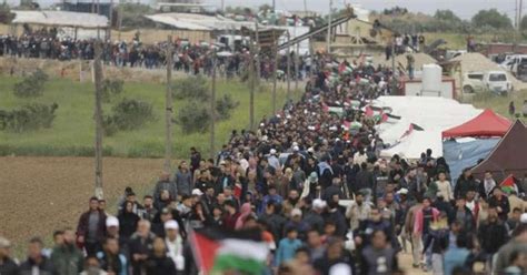 Palestinian territories, a virtual guide to gaza and the west bank. TRANSCEND MEDIA SERVICE » Jewish Voice for Peace Horrified ...