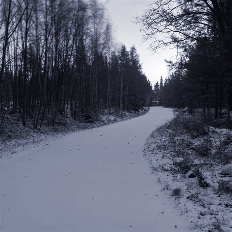The Illusion Of Winter › Way Up North