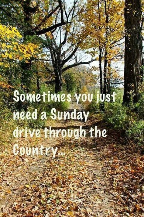 Sunday Drive Country Country Roads New Adventure Quotes