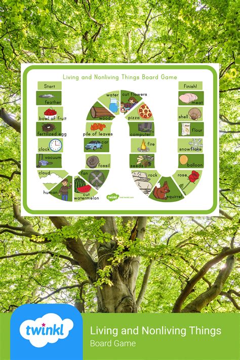 Living And Nonliving Things Board Game Science Fun For Kids Living