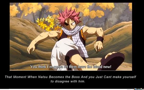Fairy Tail Meme Collection 5 Anime Meme