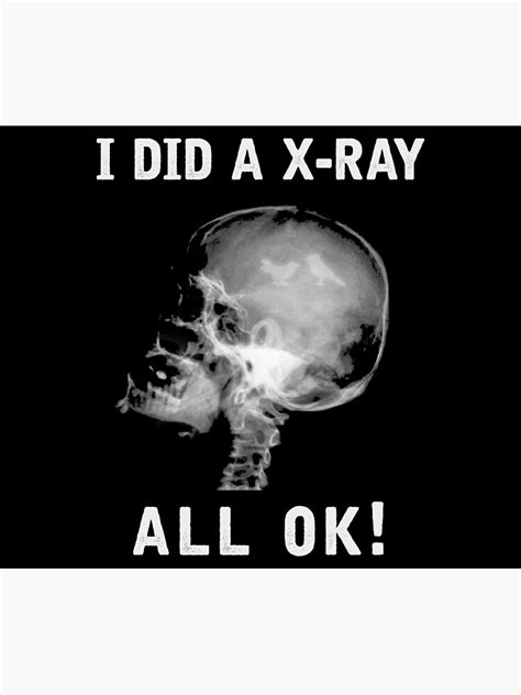 Funny X Ray X Ray Picture Of The Skull I Did A X Ray All Ok With Birds