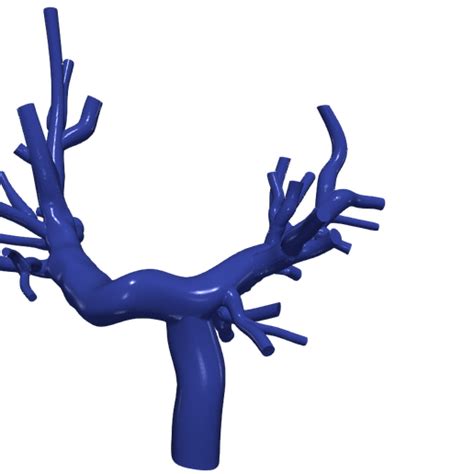3d model pulmonary 3d print details
