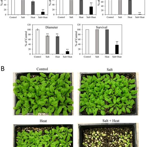 Response Of Arabidopsis Ecotype Ler Plants To Salt Heat And A