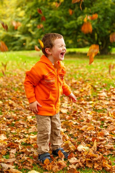 Boy In Autumn Leaves Free Stock Photo Public Domain Pictures