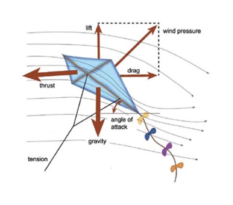 Science Of Kites Worksheet