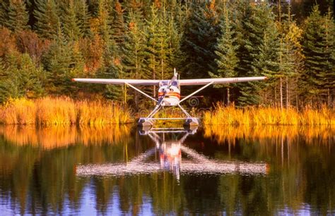 Alaska Float Plane Moored At Dock Amid Foliage Reflections Stock Image