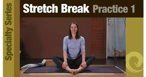 Stretch Break 1 Gold Country Yoga