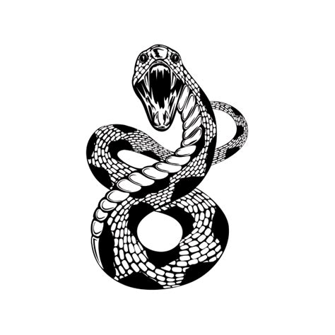Snakes Clip art Reptile Vector graphics Illustration - snake metal gear solid png download - 600 ...