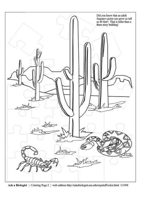 Learn more about the desert while you color. Coloring page desert - img 3977.