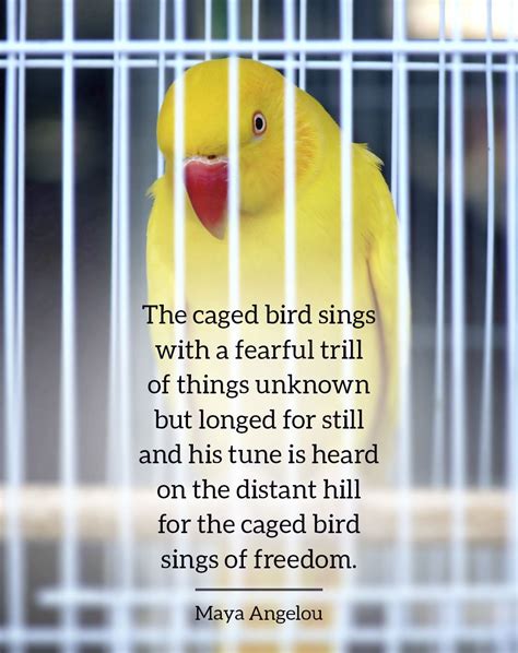 Caged Birds The Caged Bird Sings Bird Poems Bird